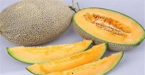 哈密瓜和黄瓜一起吃吗,营养互补的奇妙组合