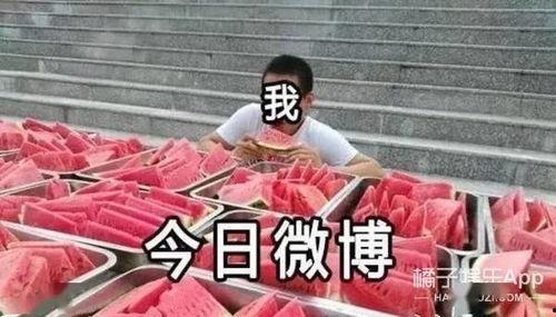 全民吃瓜视频大全,揭秘热门视频大全背后的娱乐盛宴
