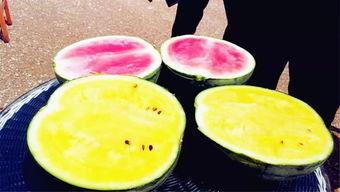 睢宁吃瓜爆料,揭秘当地热点事件背后的真相