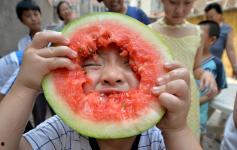 邯郸双塔吃瓜,揭秘古塔间的神秘“吃瓜”传说