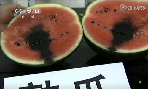 吃咸瓜视频,揭秘美食背后的故事与魅力