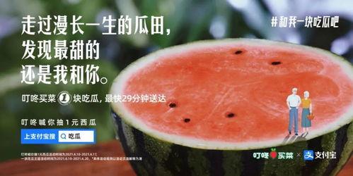 吃瓜不甜文案,揭秘“吃瓜不甜”背后的甜蜜秘密