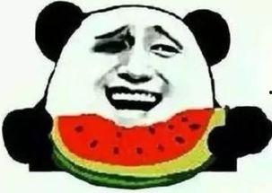 吃瓜群众看枪战,吃瓜群众视角下的枪战风云