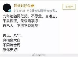 吃瓜作文开头怎么写,吃瓜群众视角下的娱乐圈风云