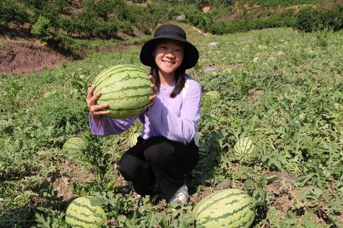 富阳小姐妹吃瓜