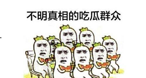 吃瓜群众阿姨解说文案,揭秘娱乐圈幕后故事