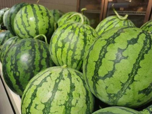 正一吃瓜,揭秘娱乐圈那些不为人知的幕后故事