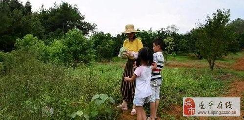 遂平吃瓜,揭秘当地特色美食背后的故事