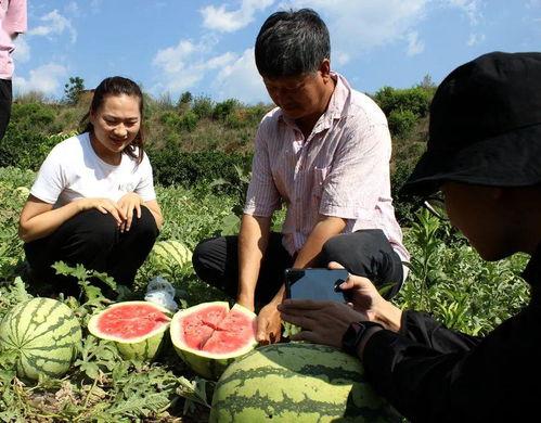 户外吃瓜群众,见证街头百态，捕捉人间烟火