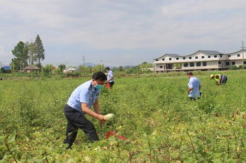 户外吃瓜群众,见证街头百态，捕捉人间烟火