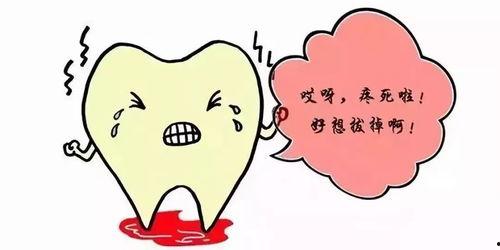 牙疼吃三白瓜,牙疼时的天然止痛良方