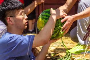 双象吃瓜视频,揭秘娱乐圈幕后风云