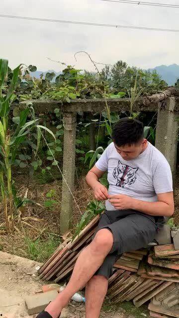 偷瓜被抓吃瓜怎么处罚