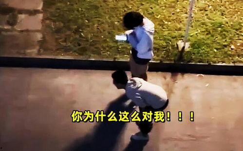 吃瓜别人谈恋爱,揭秘明星情侣甜蜜瞬间