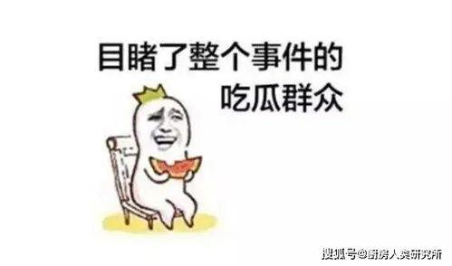 我吃瓜你们聊