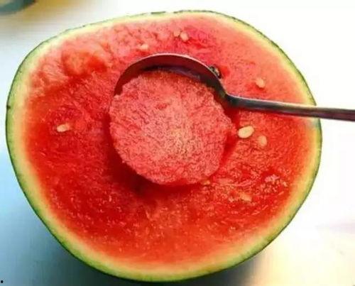 梦见过世老人吃角瓜,世老人与角瓜的奇妙邂逅