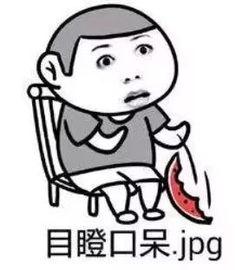 吃瓜是专注吗,揭秘网络时代的“专注”现象