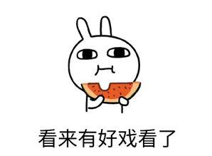 吃瓜是专注吗,揭秘网络时代的“专注”现象